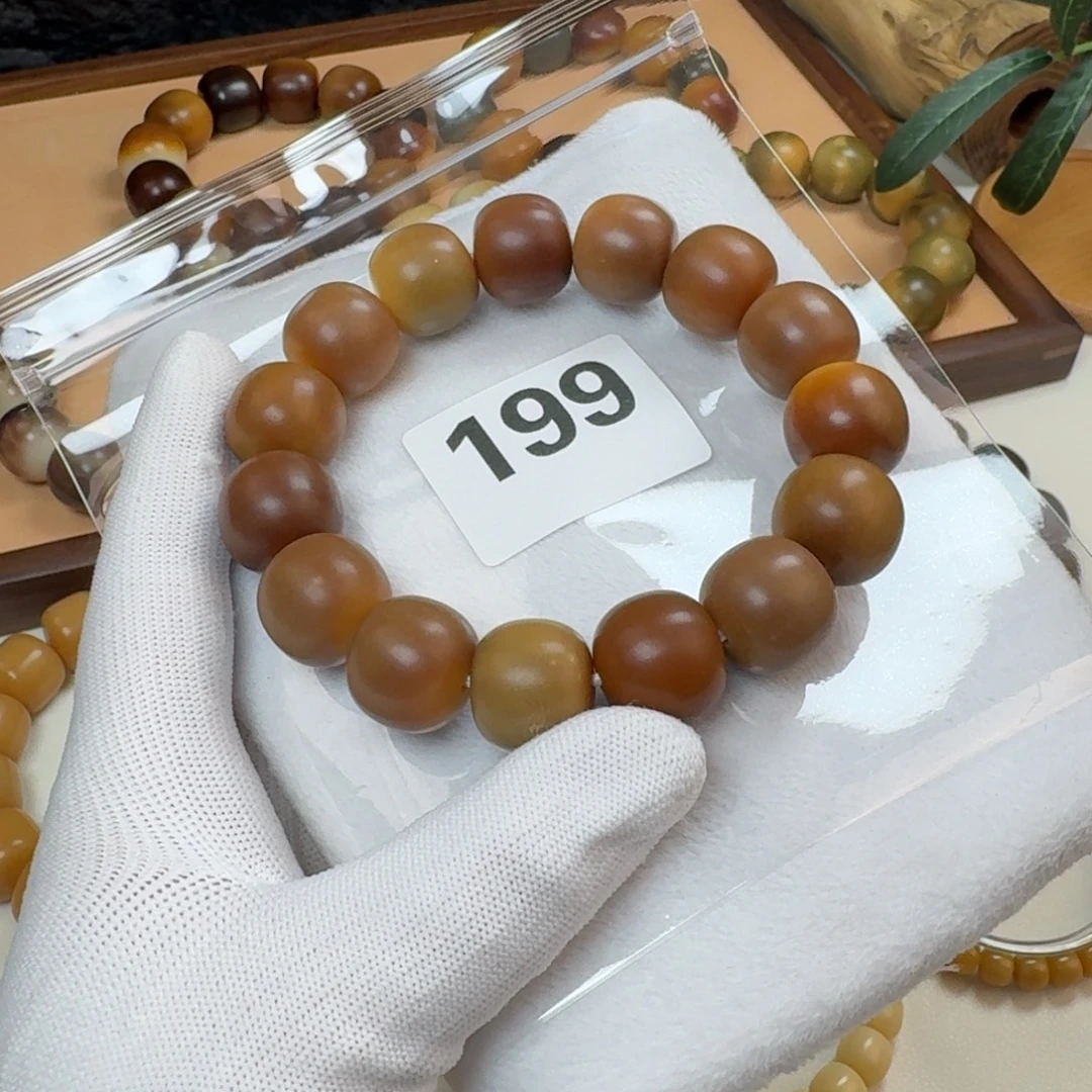 元***和吊坠菩提根/象牙果18干磨特殊瑕疵