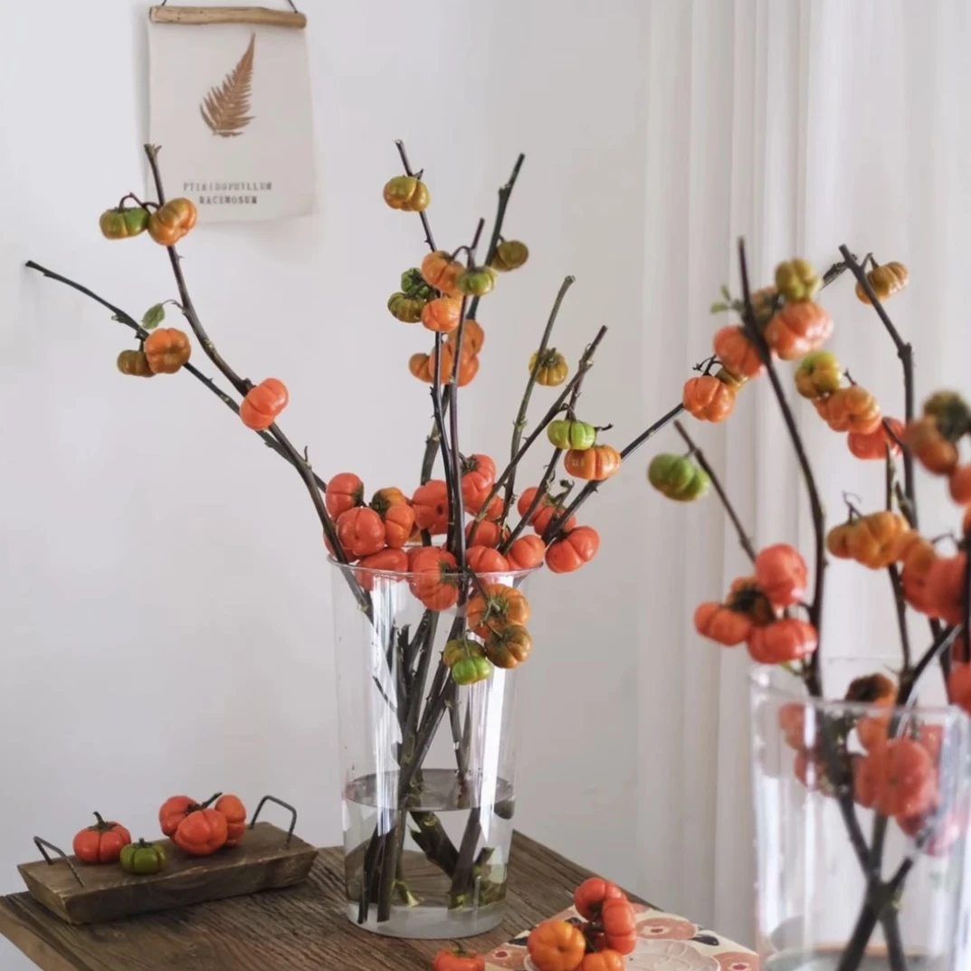 云南小南瓜鲜花干养花期长适合室内高端装饰观赏南瓜园艺剪