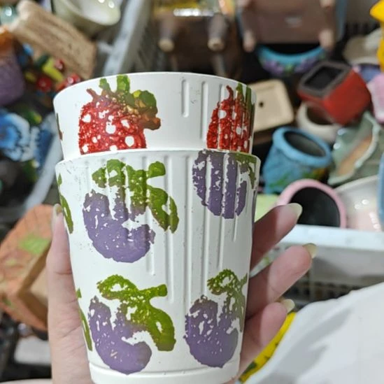 当场拍满15元包邮发货，金额不够发泡沫不发花盆，不凑单真亏钱请别