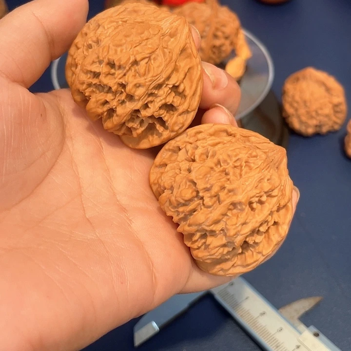 核桃满天星43尺核桃