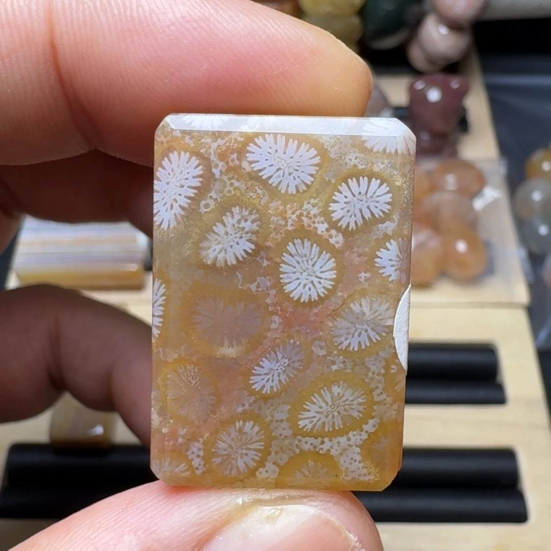 硅化玉未镶嵌纯天然色有机玉石保真色