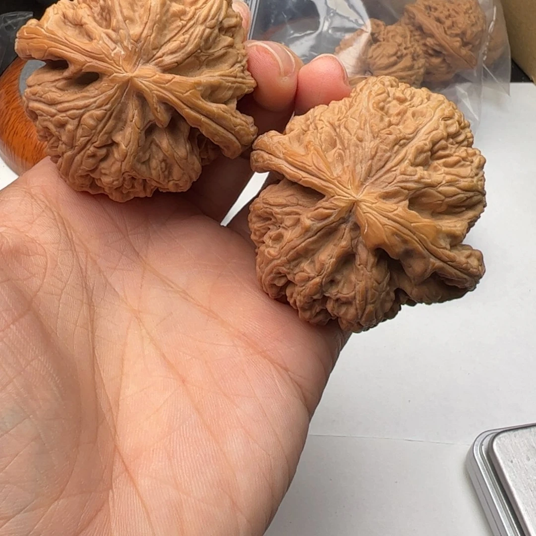 文玩核桃吊坠51粗筋