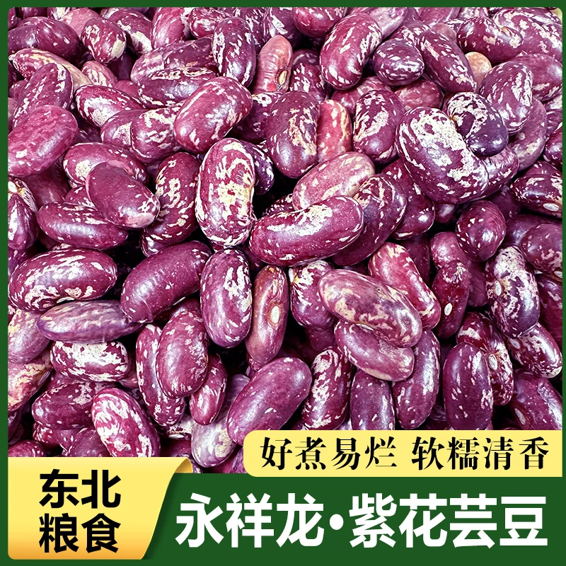 25年永祥龙东北紫花芸豆大碴粥芸豆农家包豆馅好煮五谷杂粮新豆
