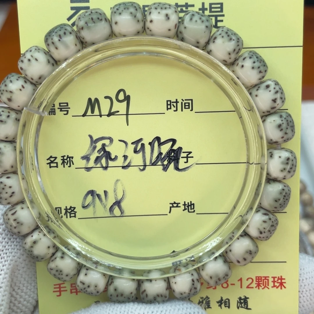 菩提籽类M绿河豚，