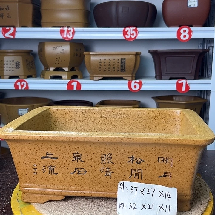 花盆紫砂你在干嘛