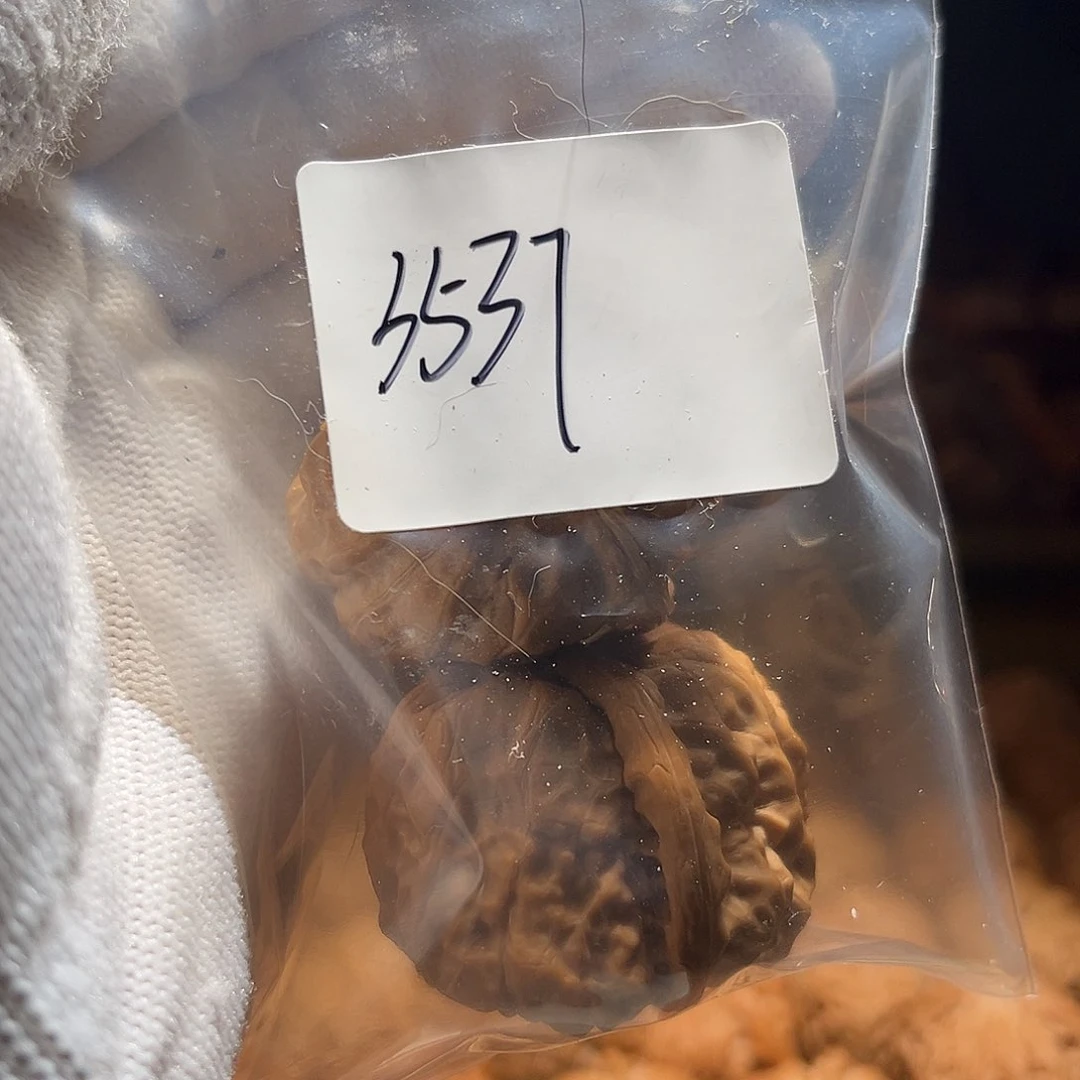 D***X文玩核桃吊坠蛤蟆3537