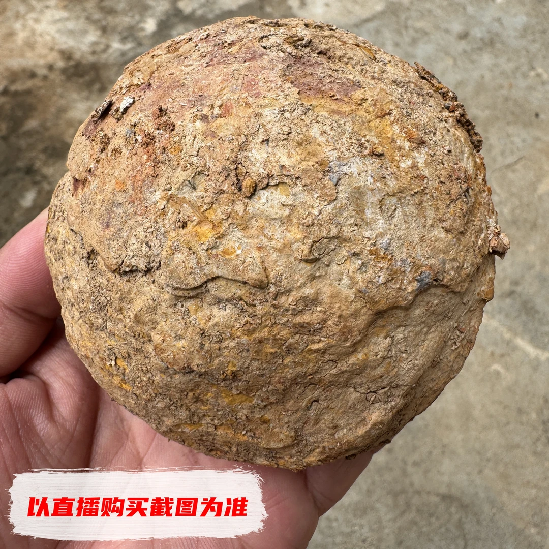 老料精品敲壳龟纹石高货孤品可收藏龟纹石