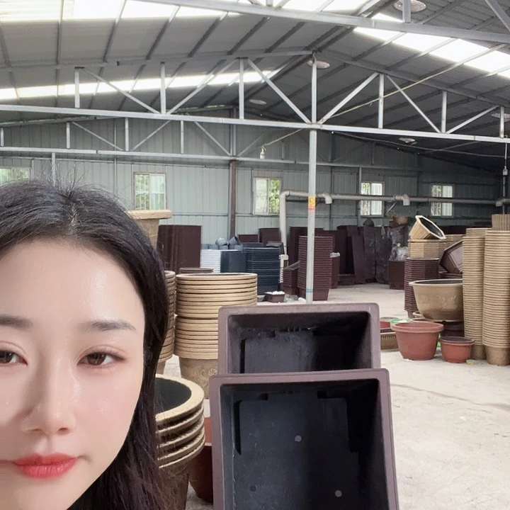 盆景100花盆一个有孔