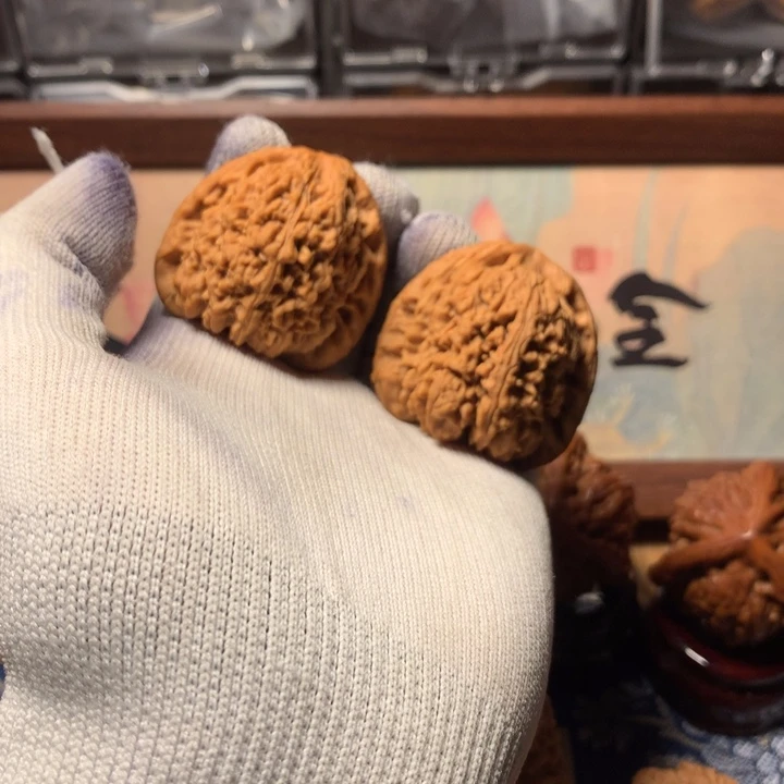 N***u哈哈哈哈哈哈哈哈哈哈