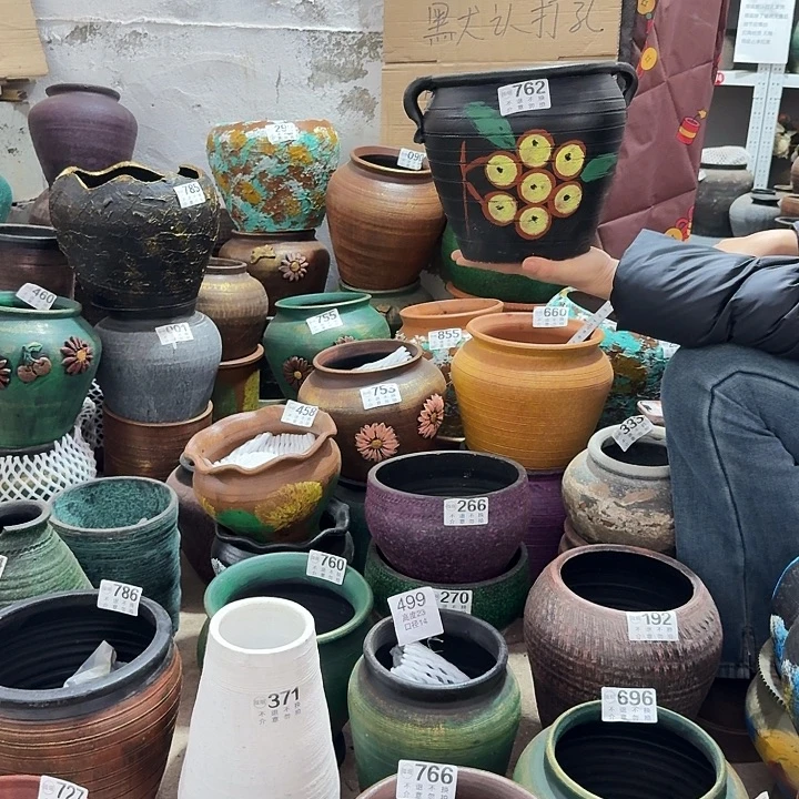 枇杷双耳高度20口20默认