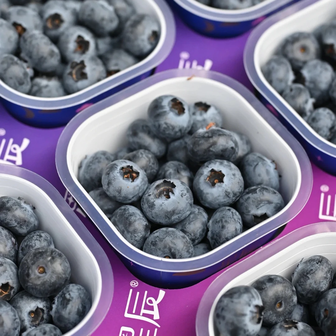 【老沙严选】云南 星辰杯蓝莓18mm 整箱9杯900克左右
