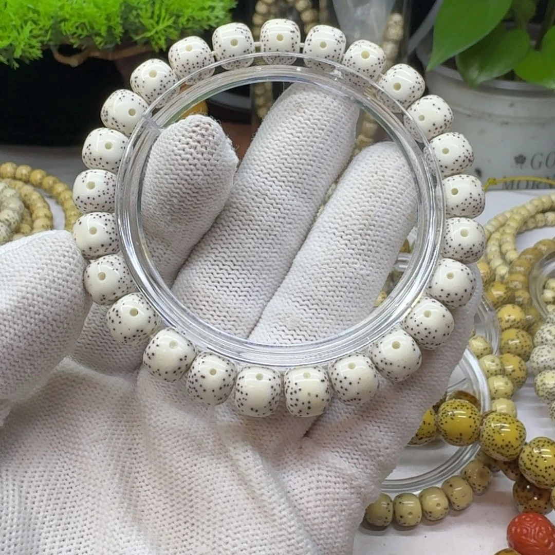 星月菩提手串呆**哥9/8原生态