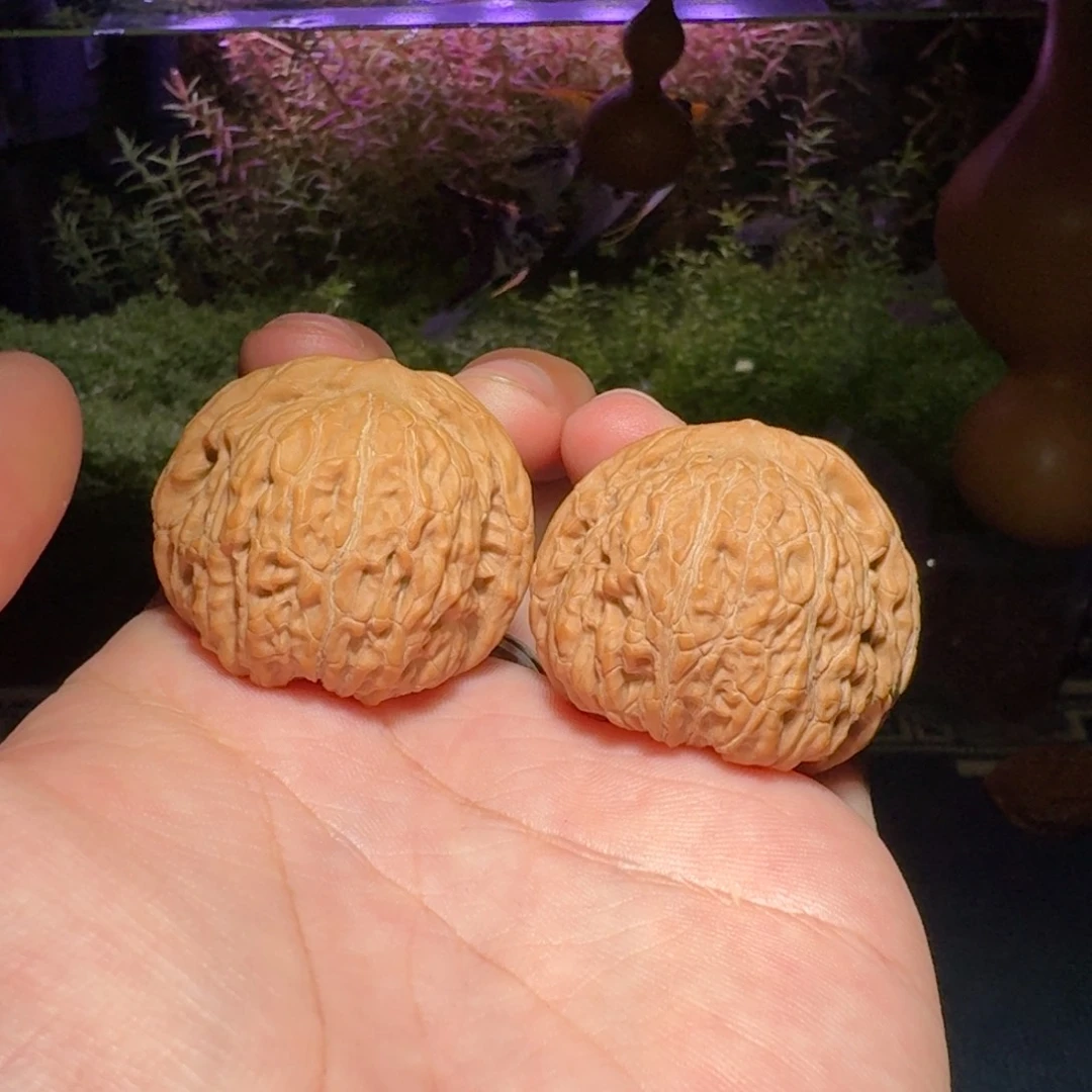 521号39平底锅文玩核桃