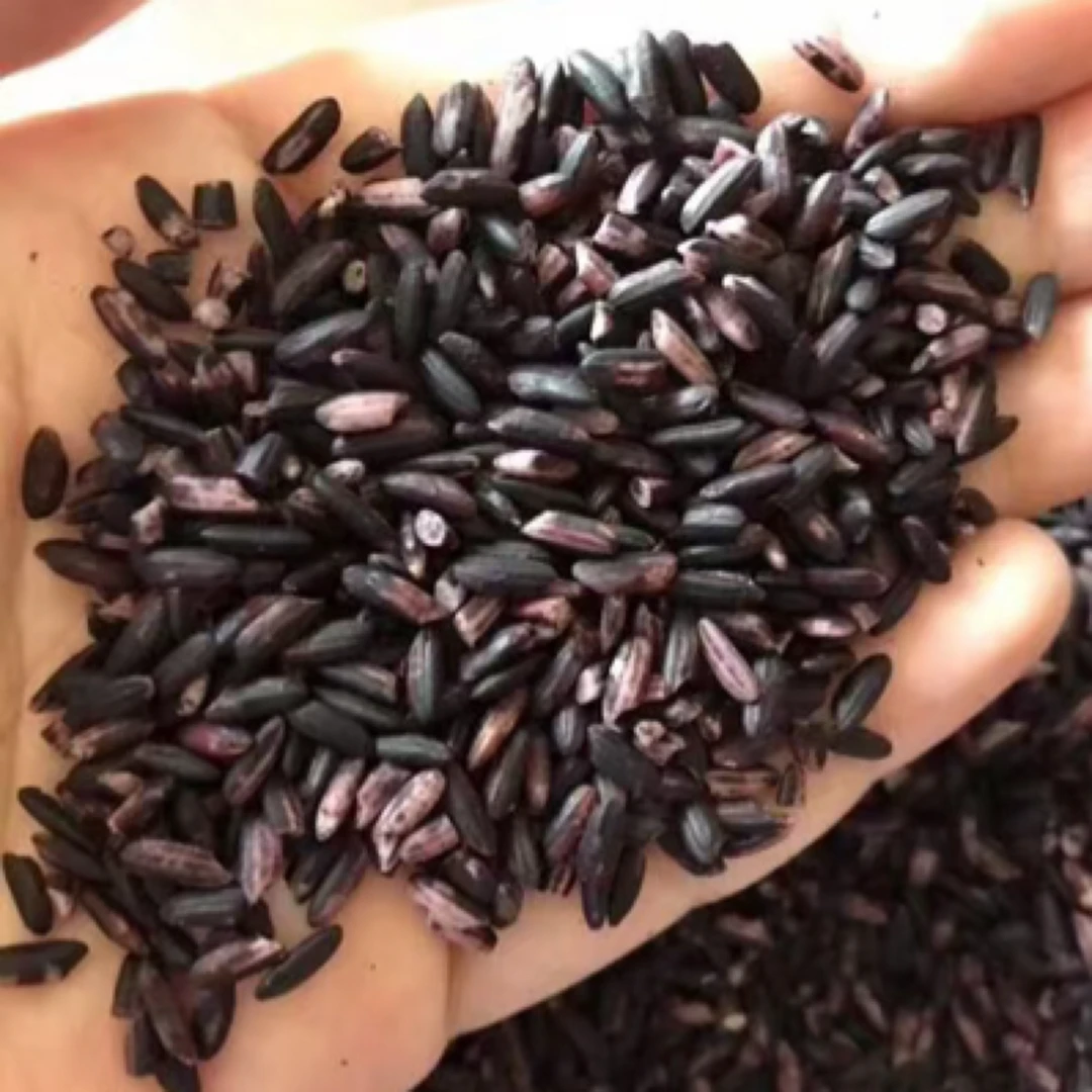 [周小周]紫糯米云南（七彩花生）