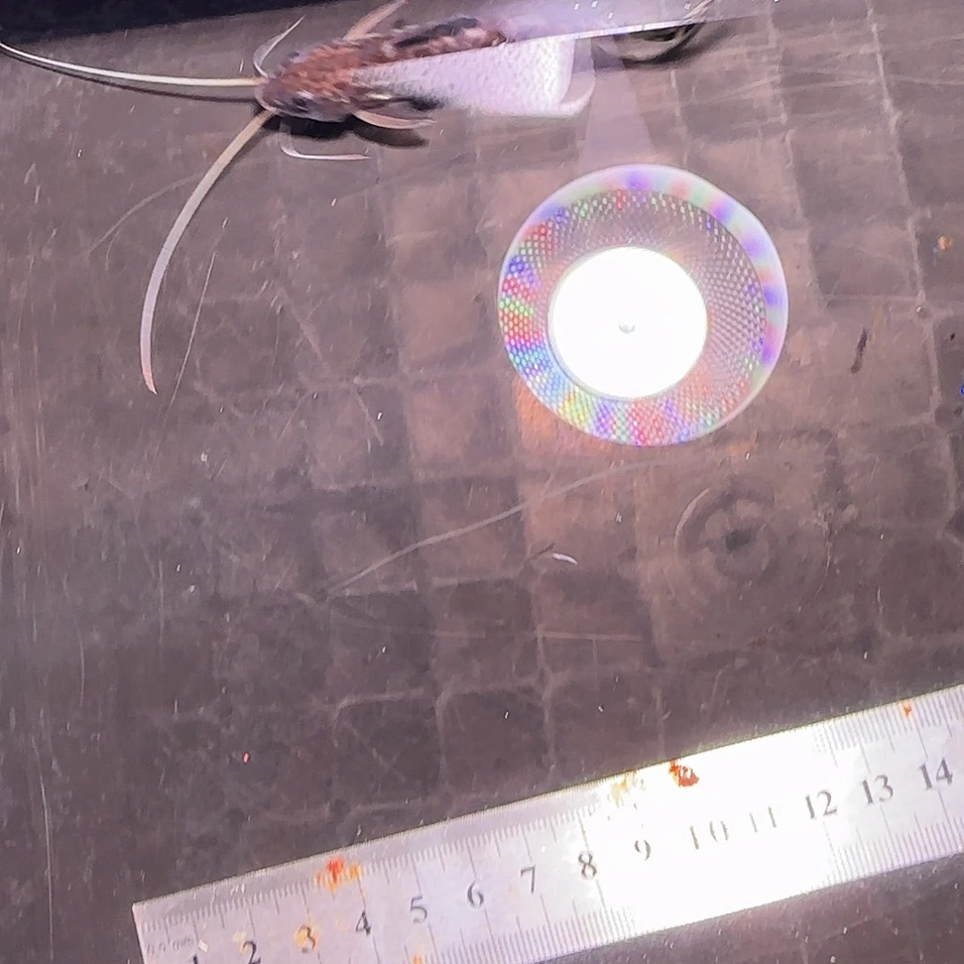 灯科鱼哥伦比亚豹444444