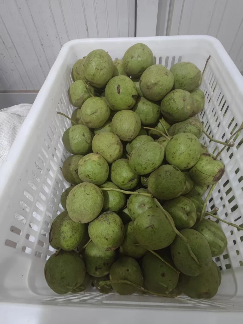 鸡心60mm(含)---2个