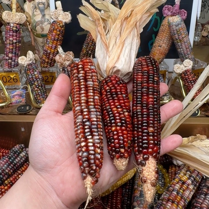 柏香籽/百香籽吊坠N*奈