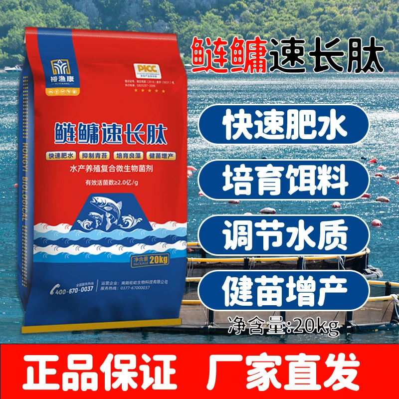 鲢鳙速长肽水产养殖使用增加肥水调水培藻培育轮虫鲢鳙猛涨