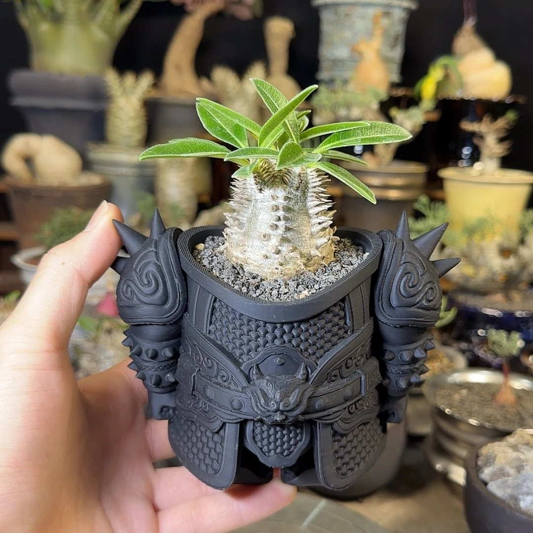 一物一拍惠比大黑230