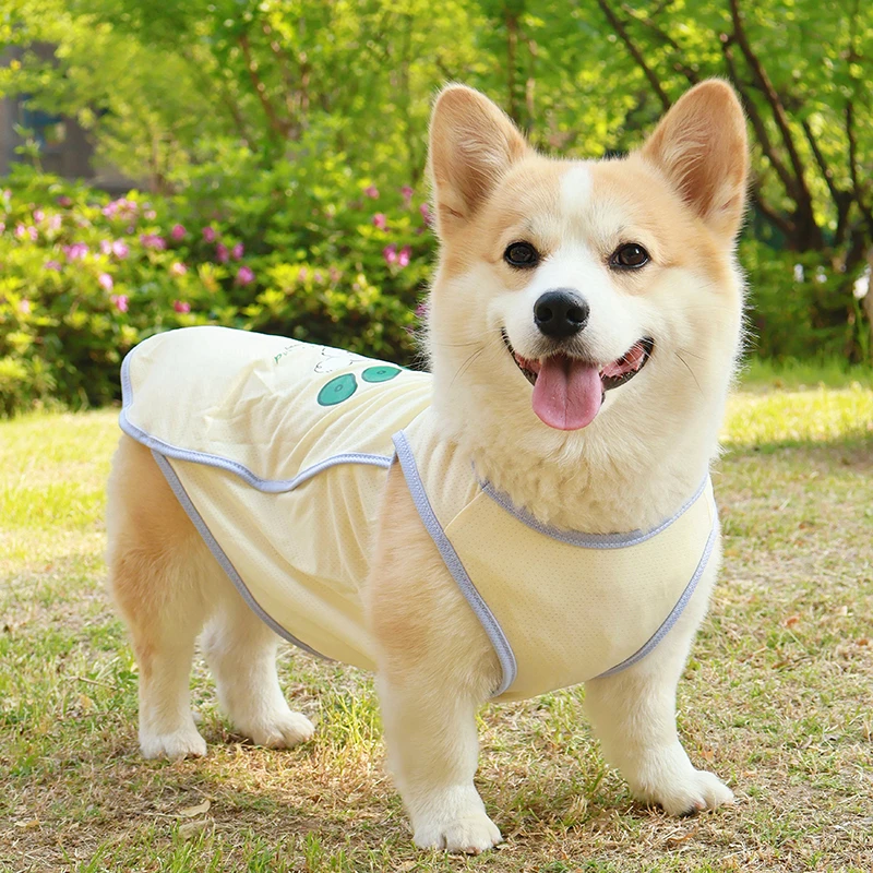 柯基柴犬腊肠狗狗凉凉衣服夏天薄宠物背心防掉毛防晒防脏防虫马甲