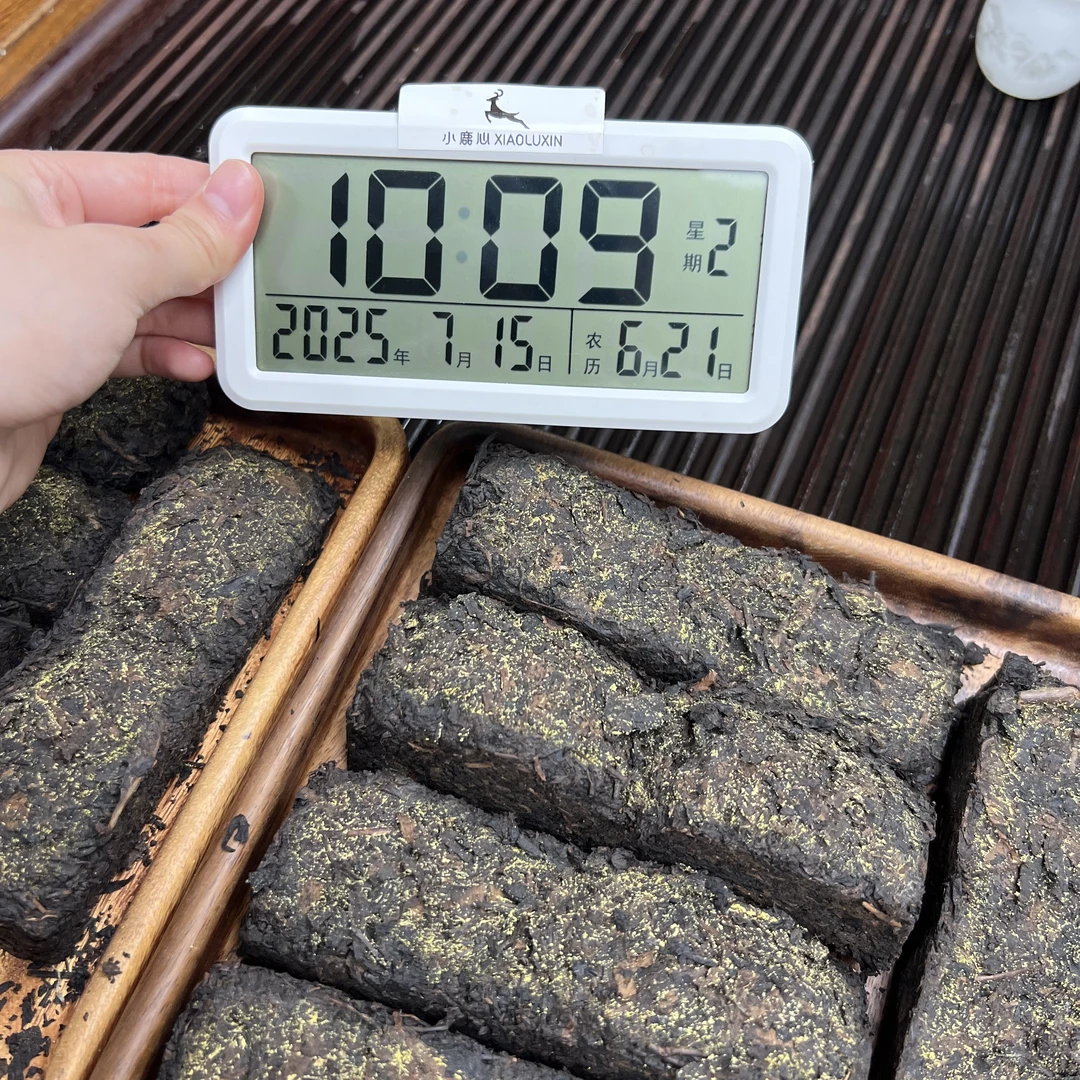 安化黑茶 茯砖 小鹿收茶 7月15