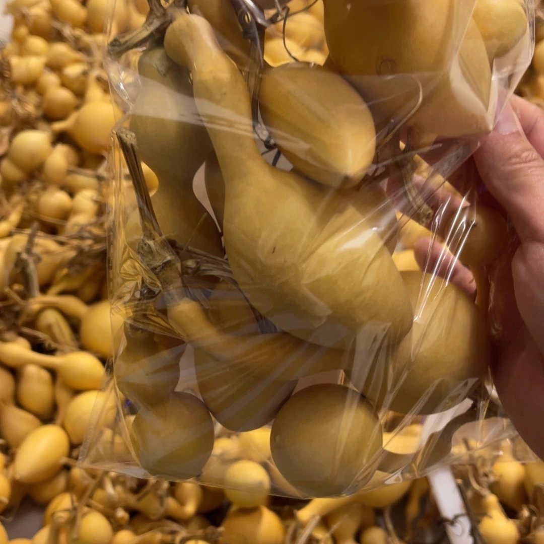 用***5来咯哦哦哦哦哦哦哦哦哦