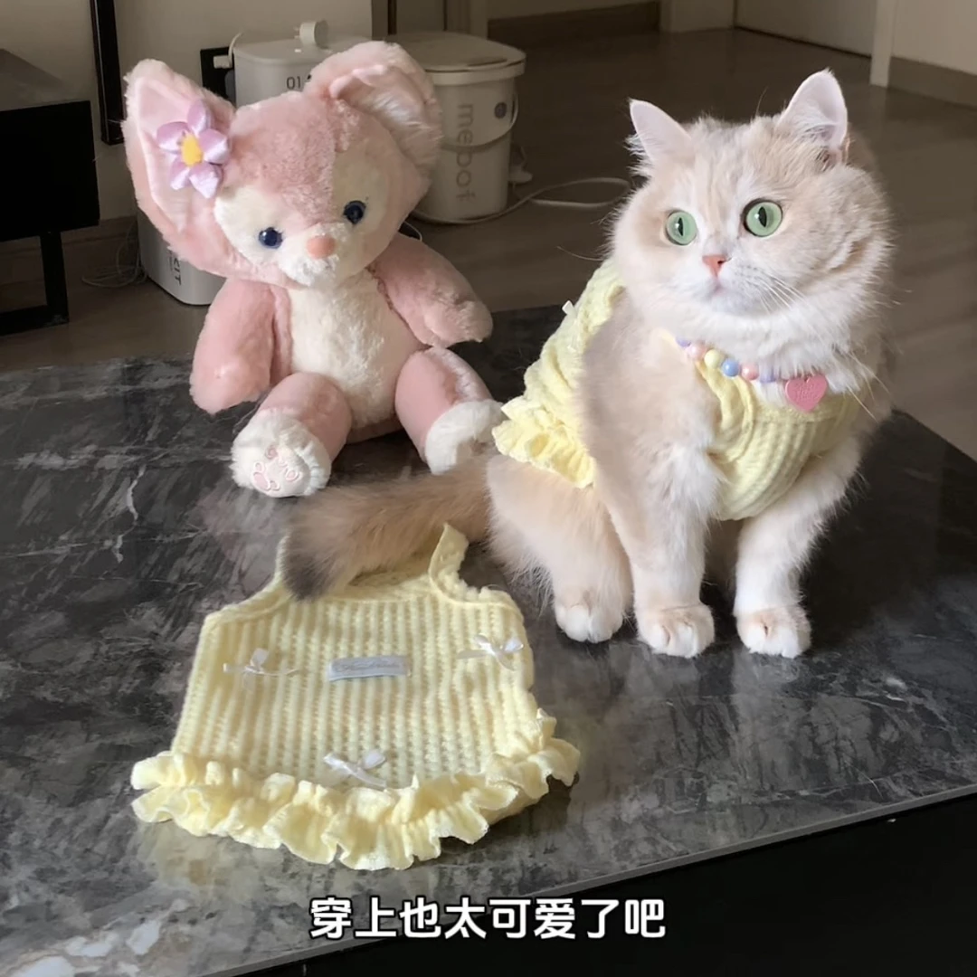 宠物猫咪狗狗防掉毛马卡龙背心可爱蝴蝶结款式春夏秋公主风金渐层