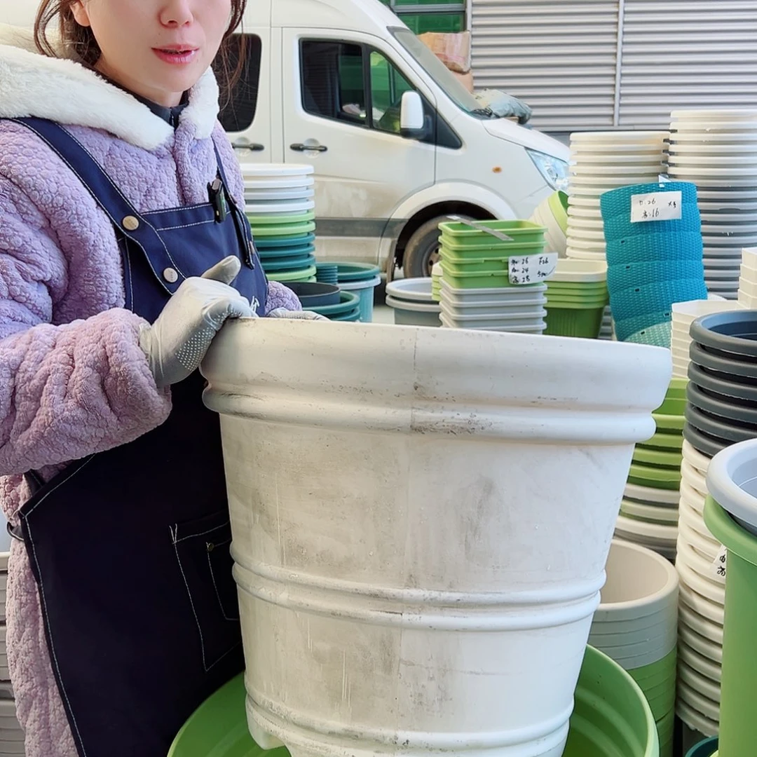 瑕疵罗马盆大号果绿1白1无托