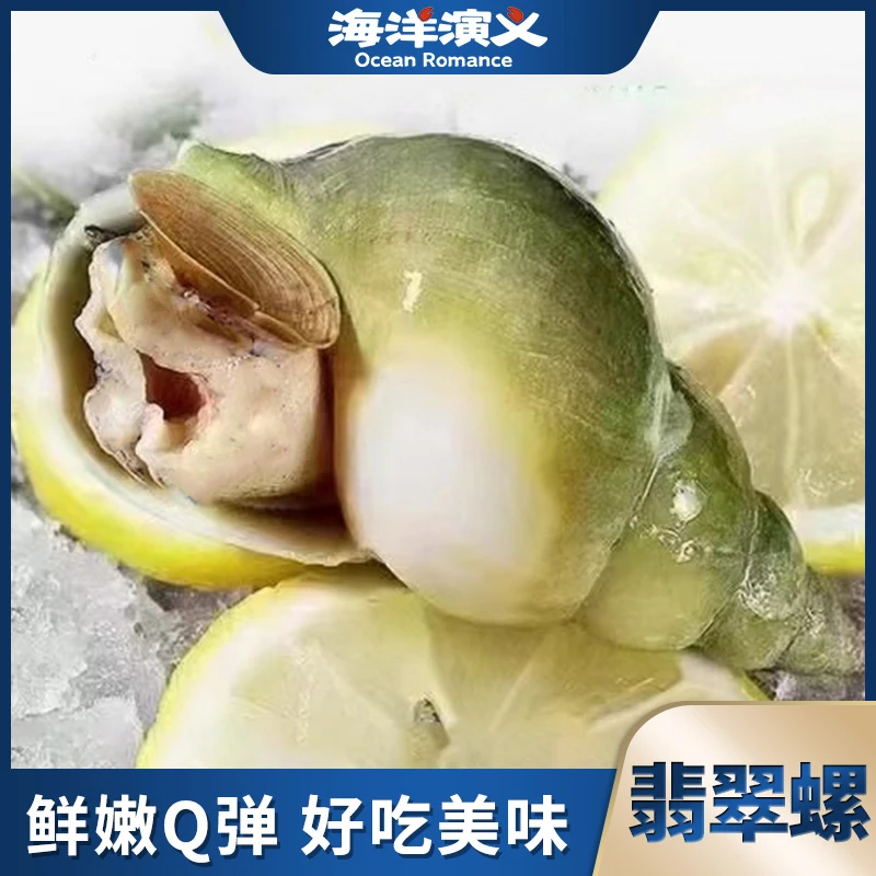海洋演义 翡翠螺 500g/包*2包