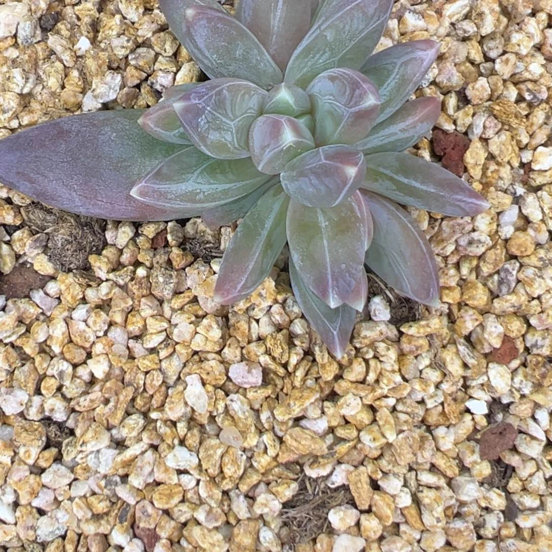 11211111111111111111