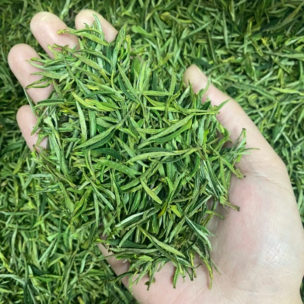 【H18】25新茶黄山毛峰土品种明前高山嫩芽 兰花香 新茶一芽茶叶