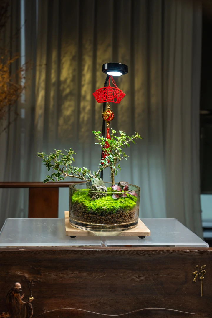 雪屿清梦生态盆栽景观纯手工艺术摆件家居好物百搭通用