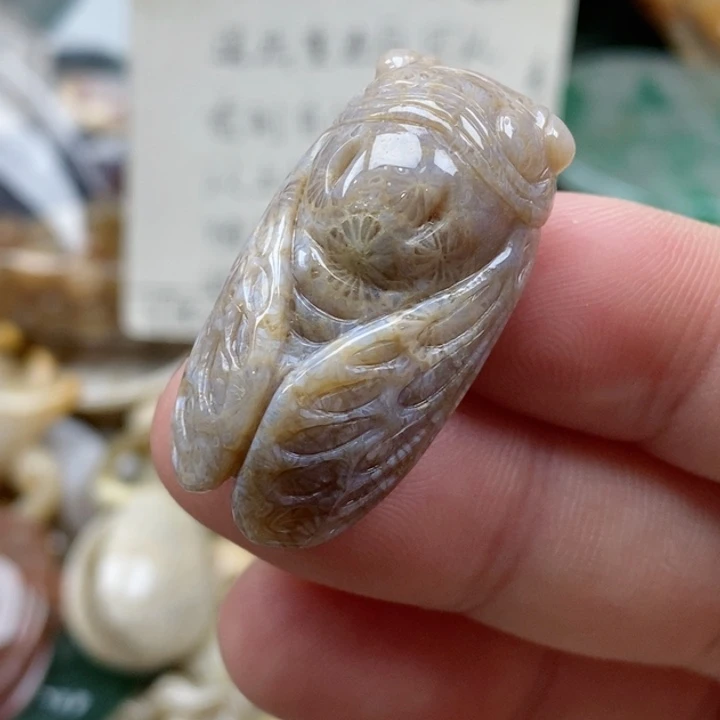 硅化珊瑚（珊瑚玉）未镶嵌颈饰小