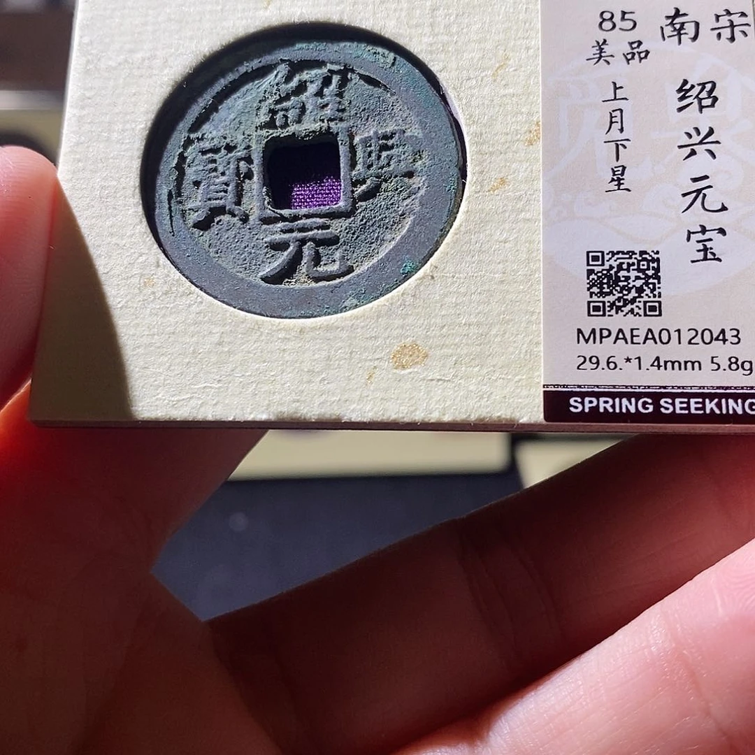 贝壳1 恭喜发财恭喜发财