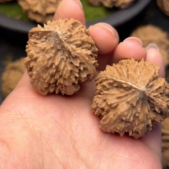 文玩核桃吊坠秦岭核桃3