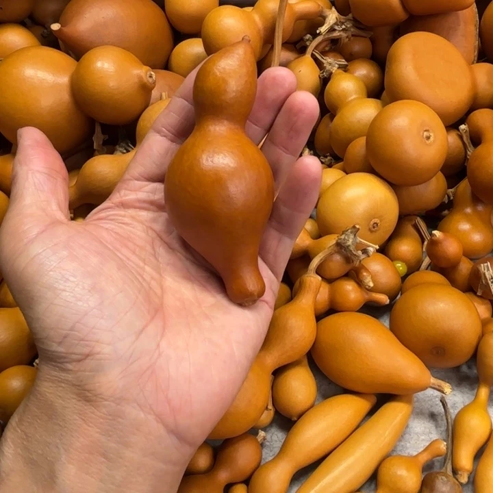 钿甜甜的一把，天天一把蚂蚁豆腐葫芦