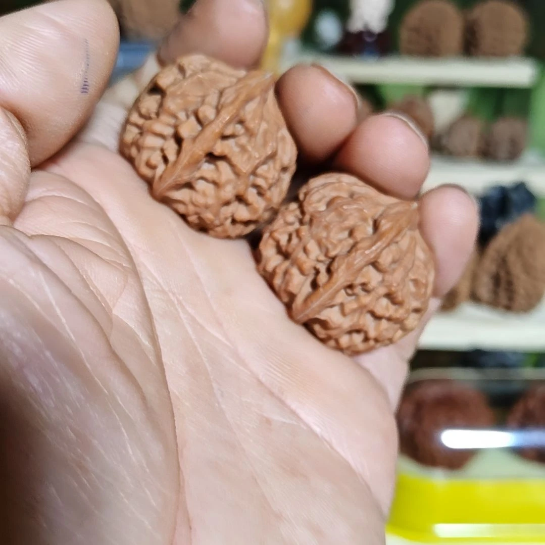 33尺寸，小众金麒麟