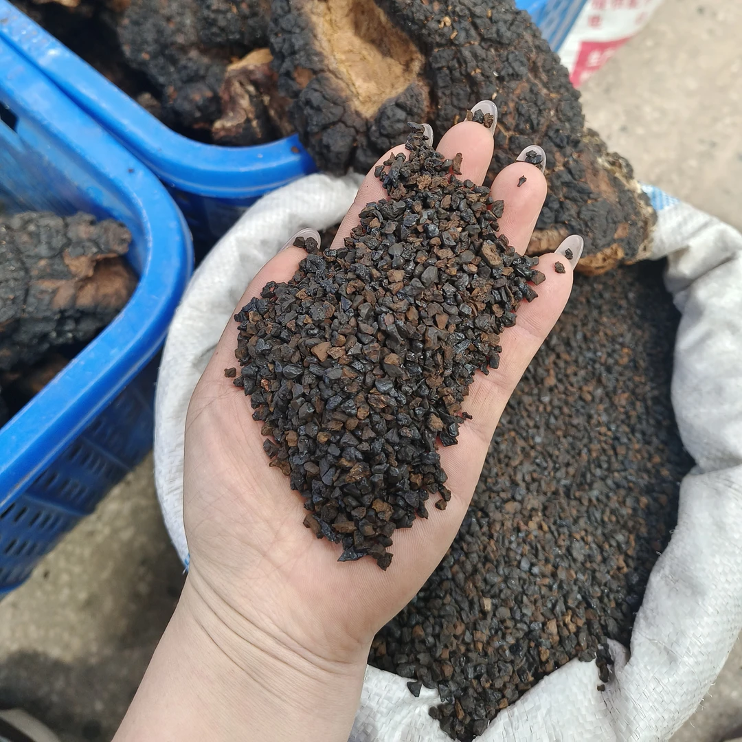 长白山桦树茸黑金颗粒养生泡水煮水健康之选