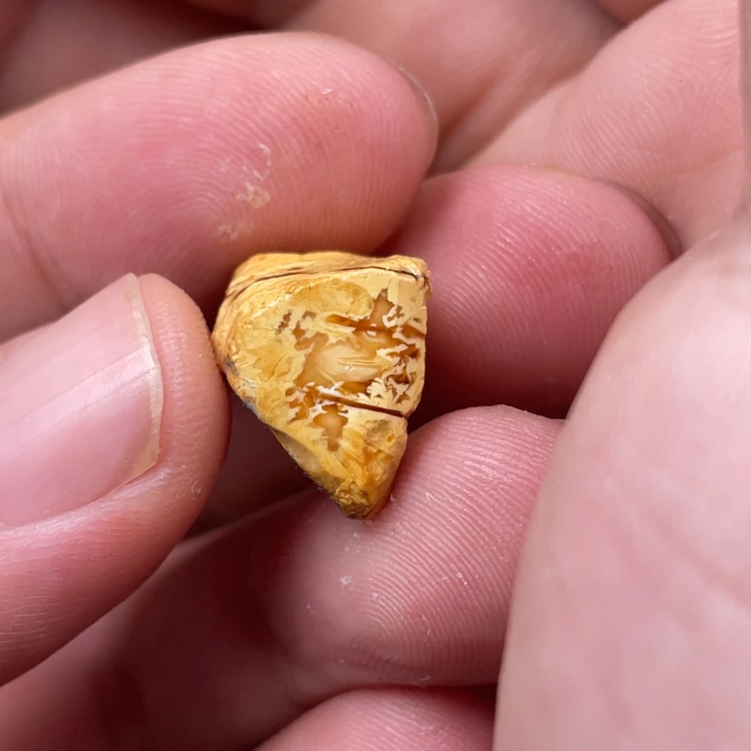 定制琥珀蜜蜡原石