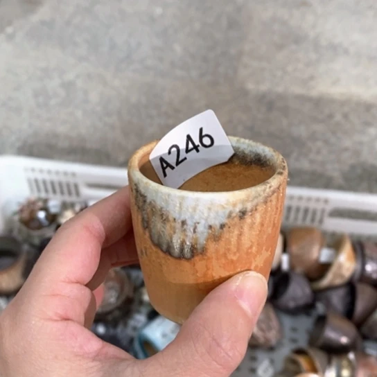 福利多多福利多多