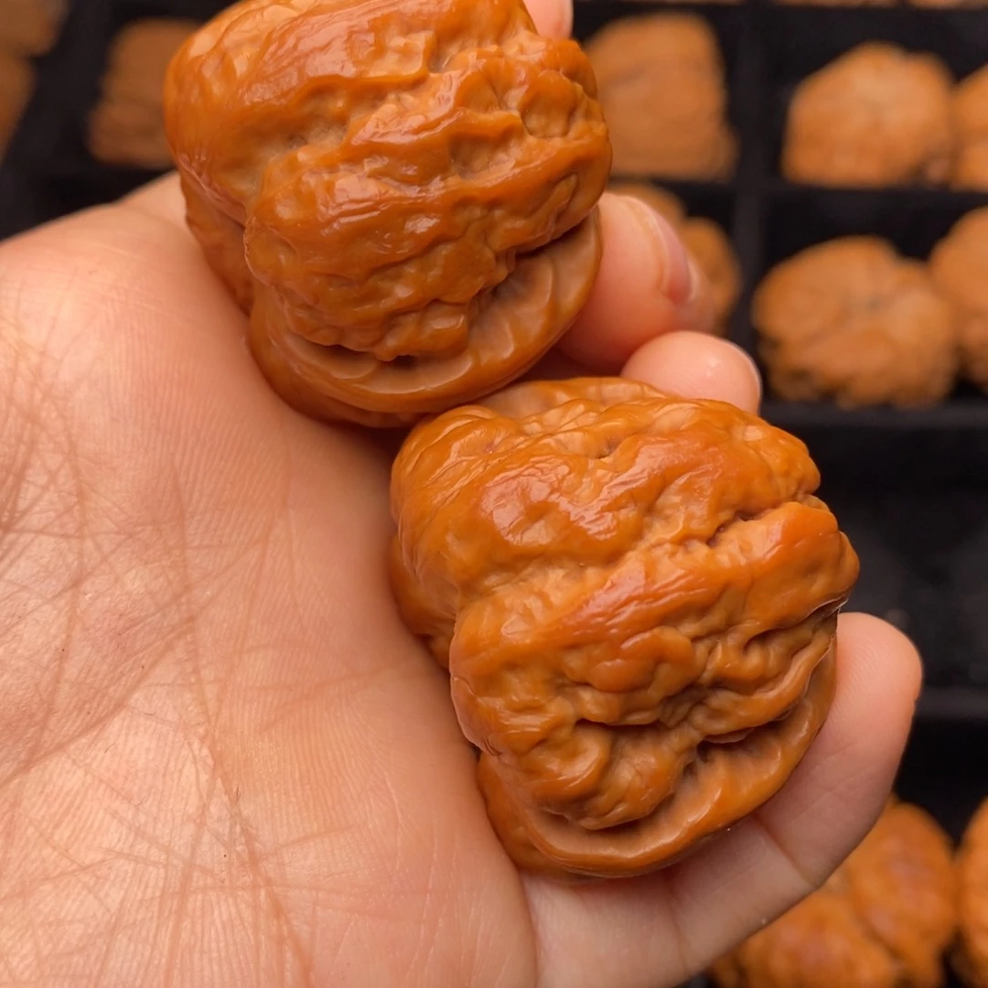 文玩核桃把件秦岭野生核桃
