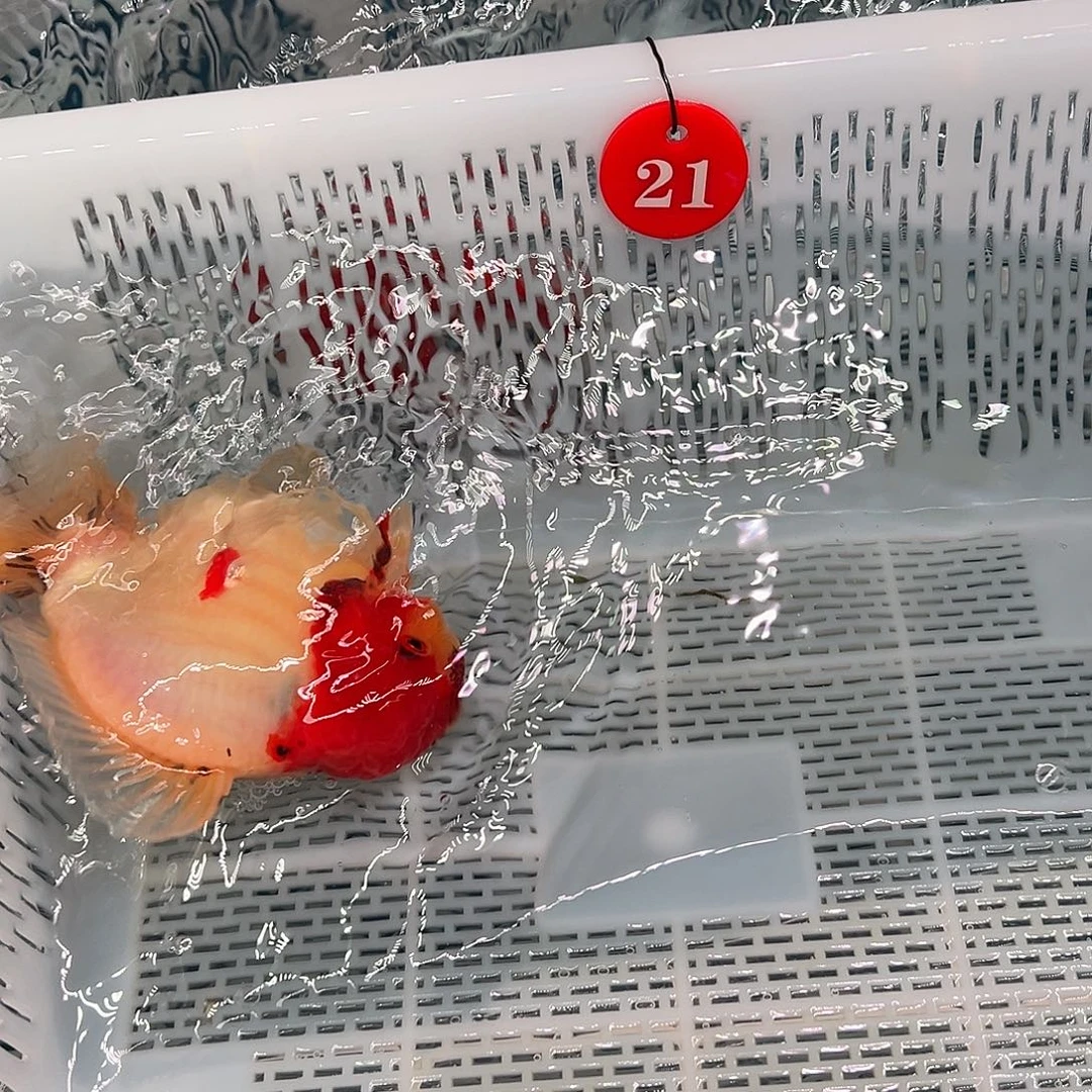 F***n抖音上的小伙伴们都在说