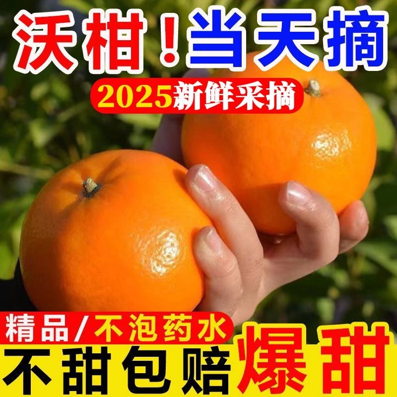 正宗广西高原沃柑新鲜应季水果超甜薄皮多汁桔子橘子一整箱树上熟