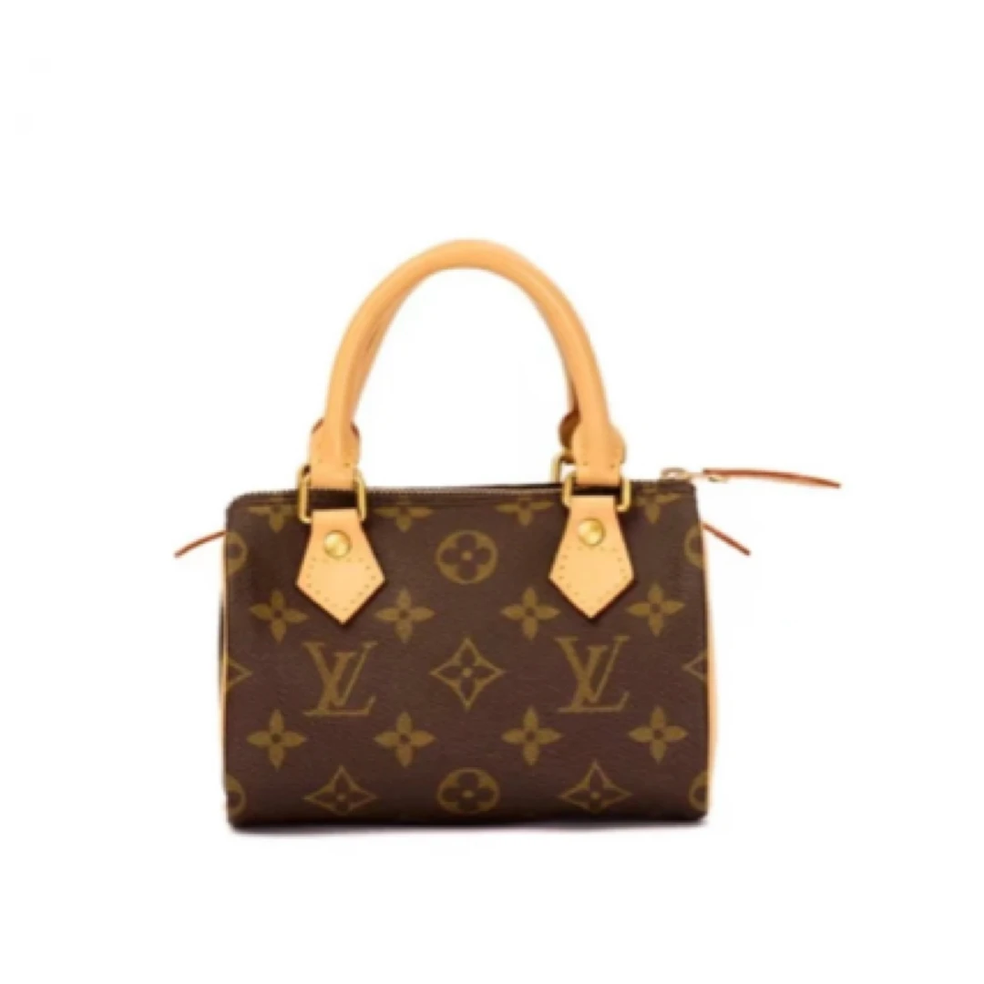 99新 LouisVuitton/路易威登 speedy mini/经典老花枕头包/换新E