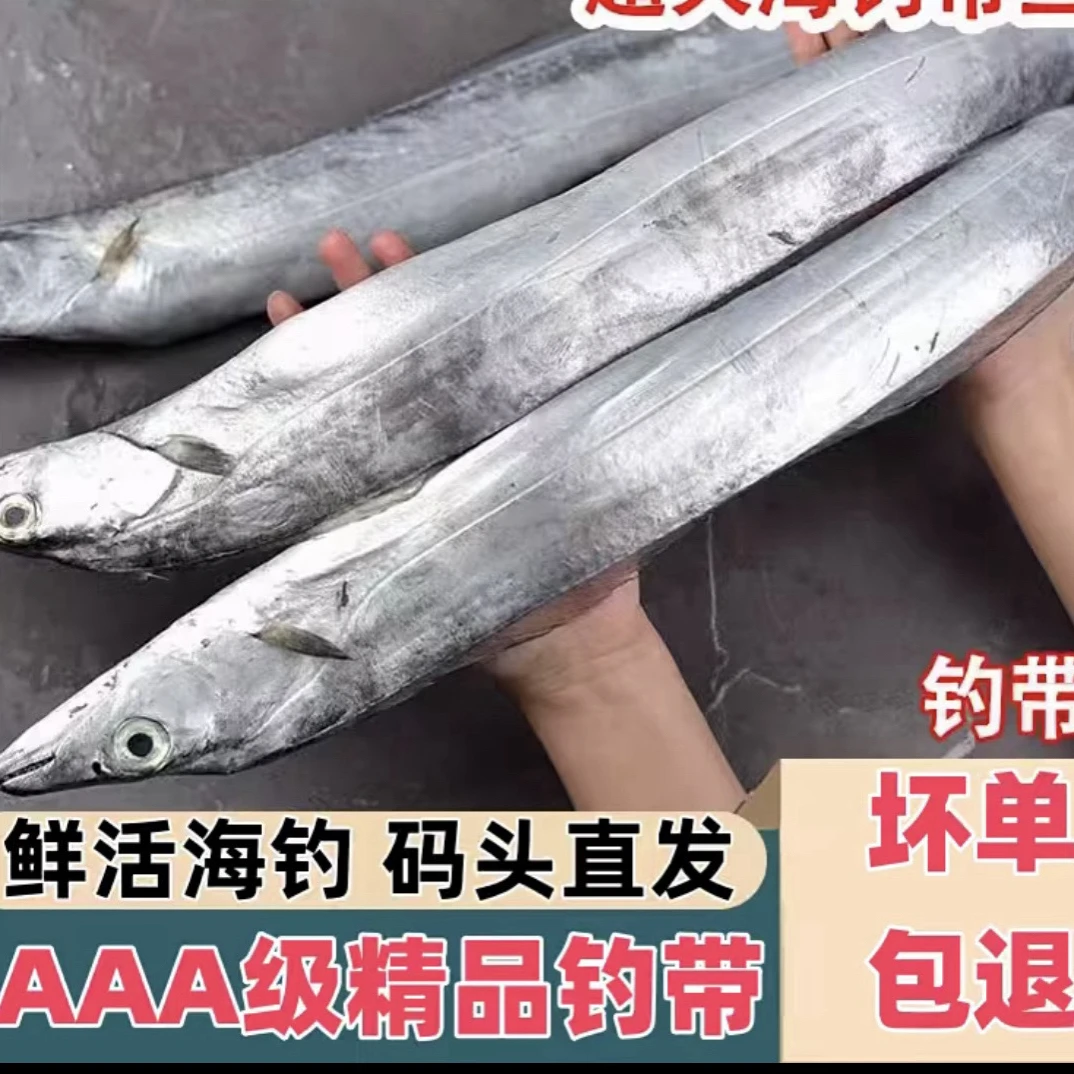 J小眼油带鱼海鲜一斤2条净重4斤（到手8到10条）无破肚无冰衣