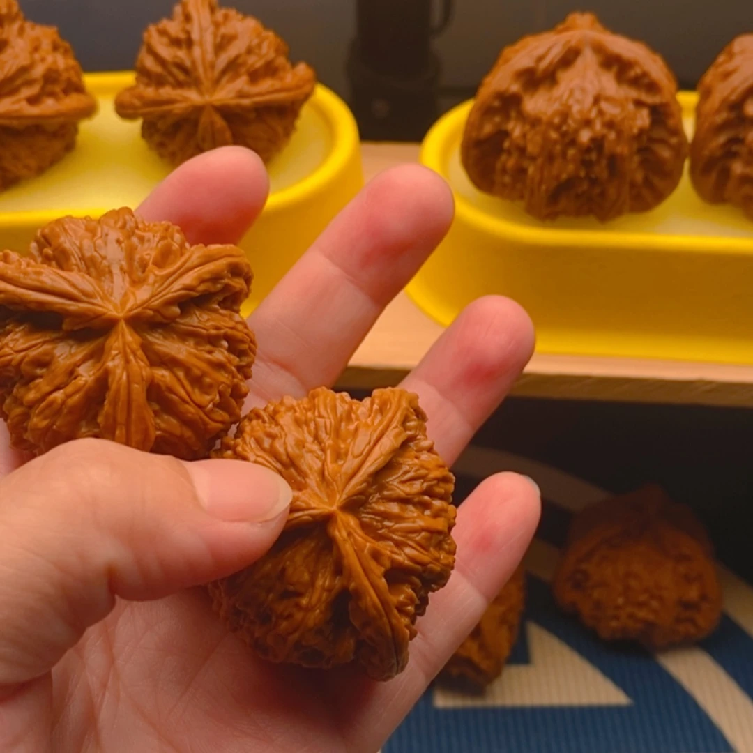 【闪购商品】九*这个世界真的太美好了