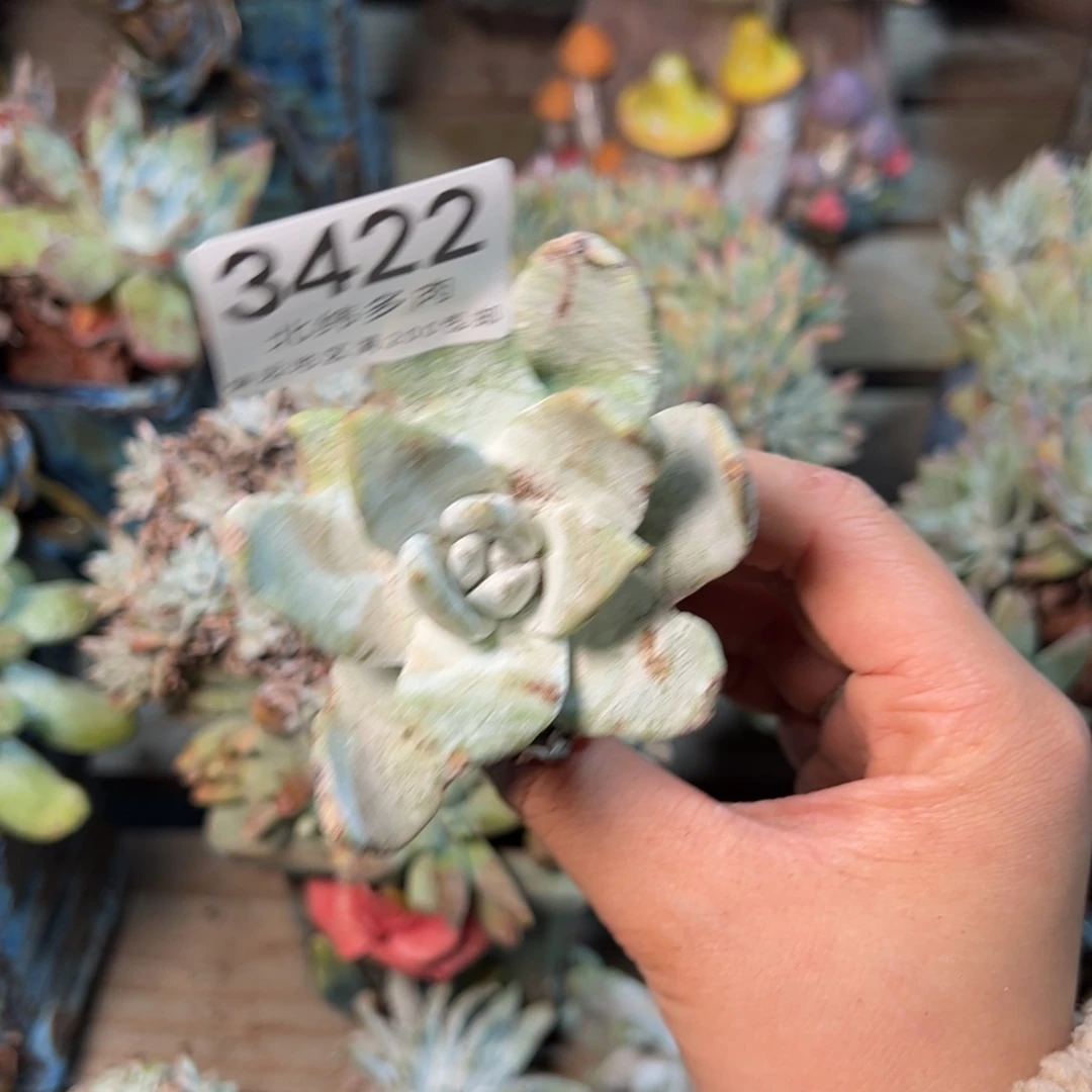 3422哈哈哈哈哈哈哈哈哈哈