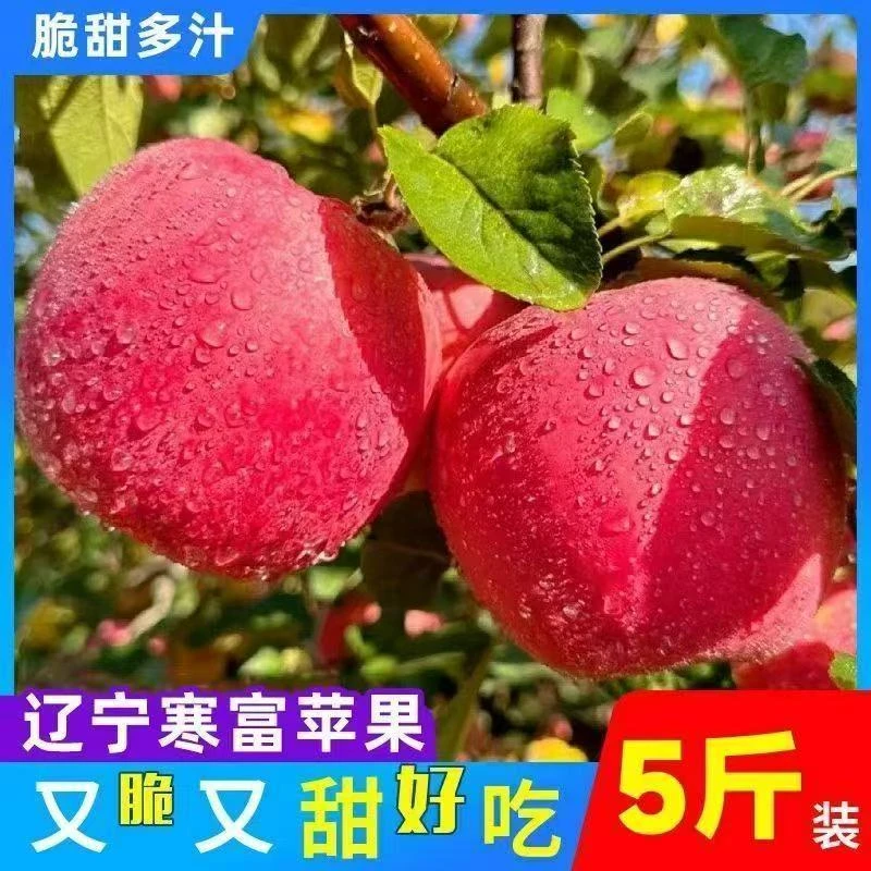 果王 100mm以上 寒地富士 苹果  4.5-5斤 6个/箱 辽宁寒富苹果