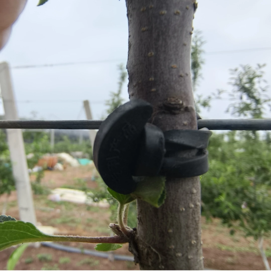 新型捆枝器绑枝器绑束古优特树形葡萄花卉枝蔓绑缚