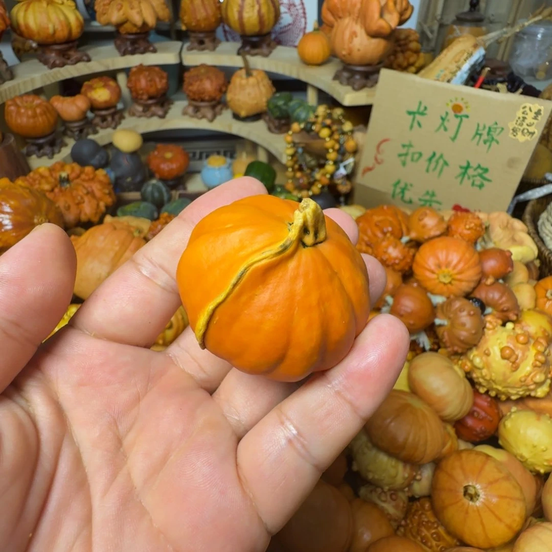 四***t特价葫芦不退不换